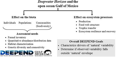 Editorial: Deep Pelagic Ecosystem Dynamics in a Highly Impacted Water Column: The Gulf of Mexico After Deepwater Horizon